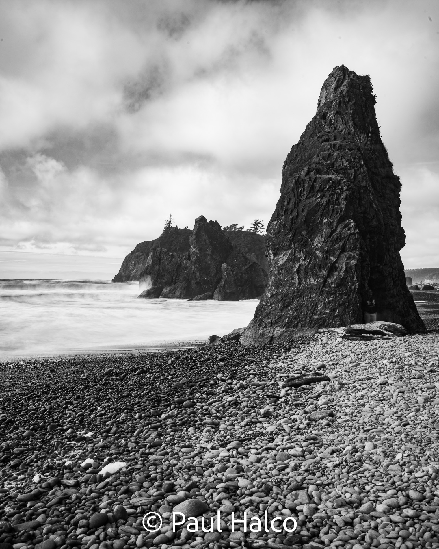 Paul Halco - Olympus NP-6
